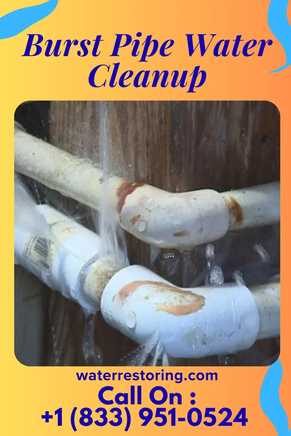 Burst Pipe Water Cleanup in Sweden Valley, PA