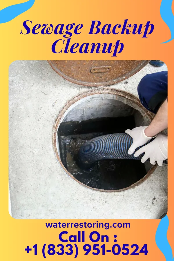 Sewage Backup Cleanup in Sweden Valley, PA
