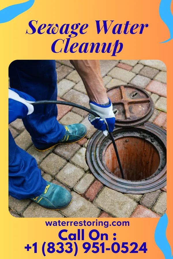 Sewage Water Cleanup in Sweden Valley, PA